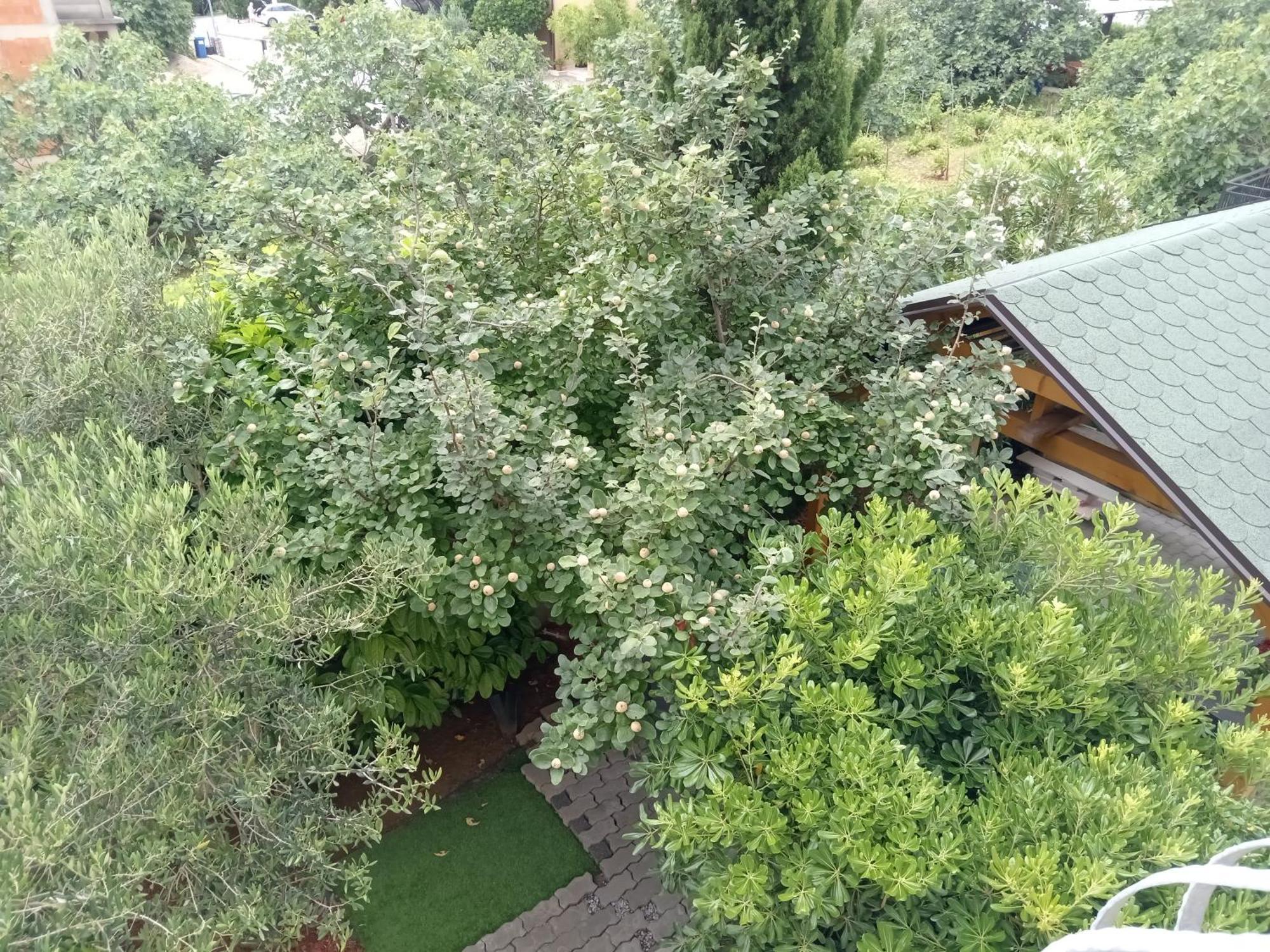 Ana Rooms Krk Town Bagian luar foto