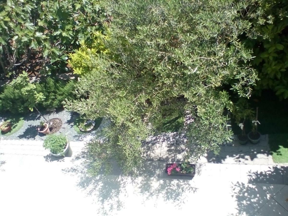 Ana Rooms Krk Town Bagian luar foto