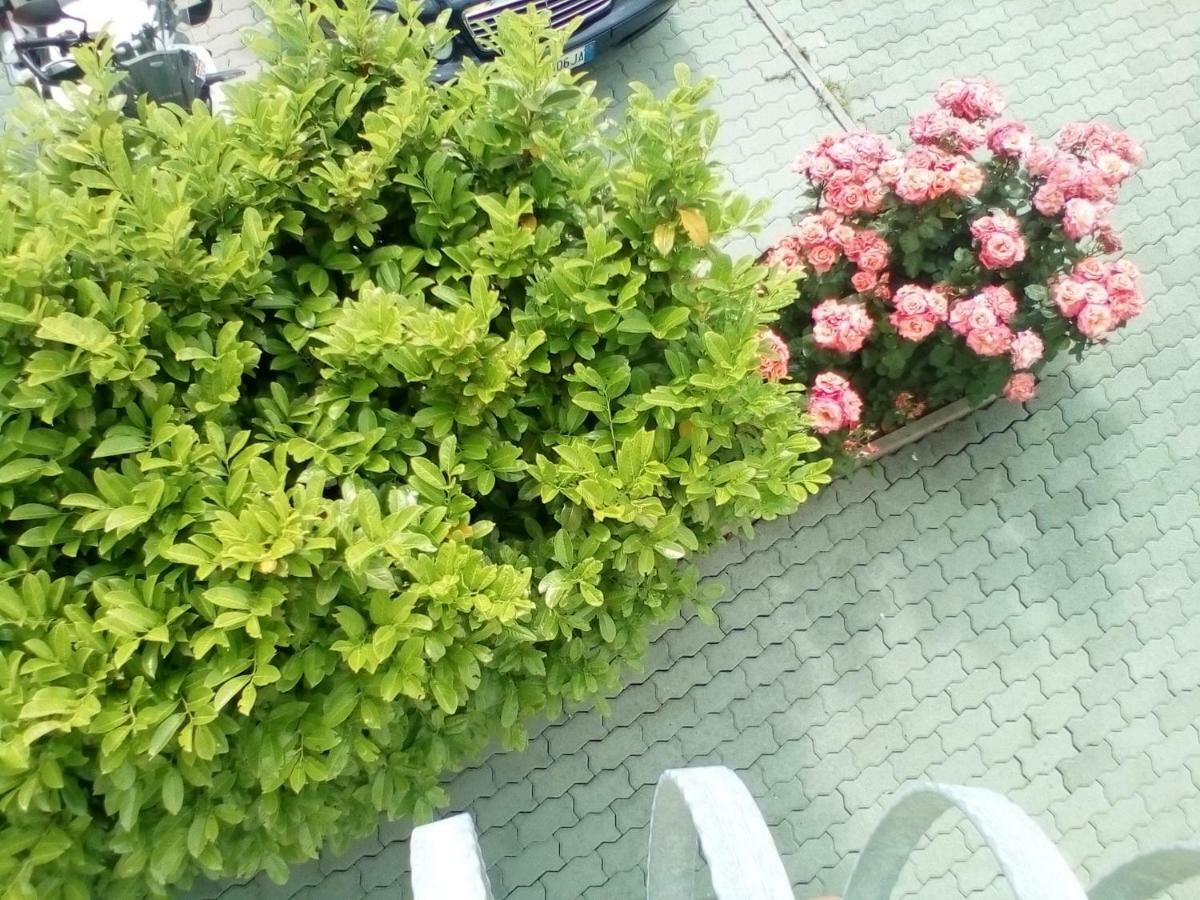Ana Rooms Krk Town Bagian luar foto